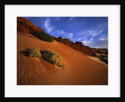 Red Sand Dunes by Anonymous