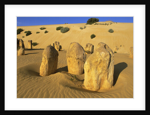 Limestone Pillars in Australian Desert by Anonymous