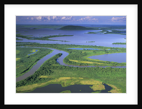 Pantanal Wetlands by Anonymous