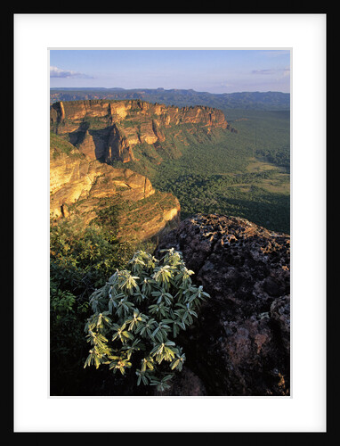 Chapada dos Guimaraes Mountain Range by Anonymous