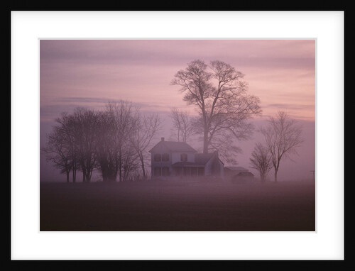 Fall Fog on Suffolk Virginia Farm by Anonymous