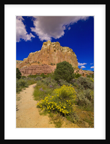 Box Canyon Trail at Abiquiu by Anonymous