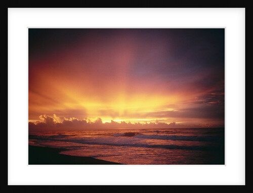 Sunset at the Sea by Anonymous