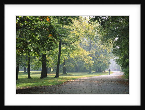 Englischer Garten in Munich by Anonymous