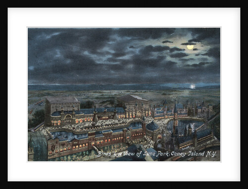 Bird's Eye View of Luna Park by Anonymous
