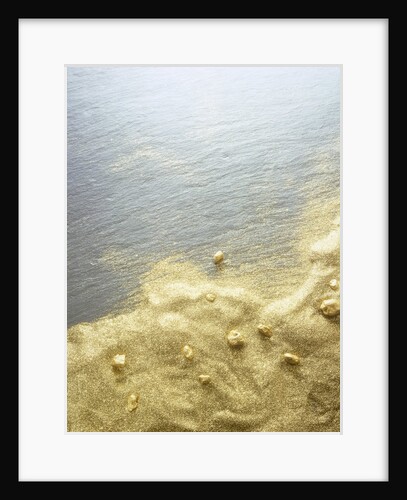 Gold Dust on a River Bank by Anonymous