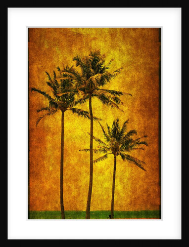 Three Palms by Doug Landreth