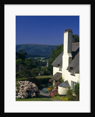 A Cottage at Selworthy Green by Anonymous
