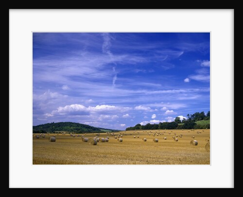 Rolls of Hay in Medmenham by Anonymous