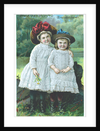 Lydia E. Pinkham's Grandchildren Postcard by Anonymous