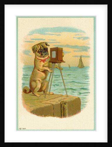 Postcard with a Pug and Camera by Anonymous