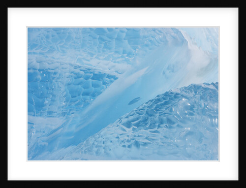 Neumayer Glacier on South Georgia Island by Anonymous