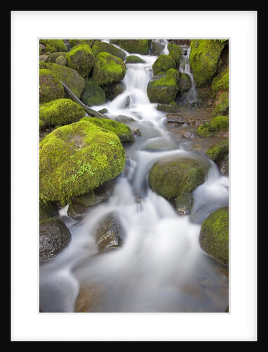 Small Creek by Anonymous
