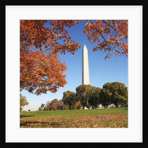 Washington Monument by Anonymous