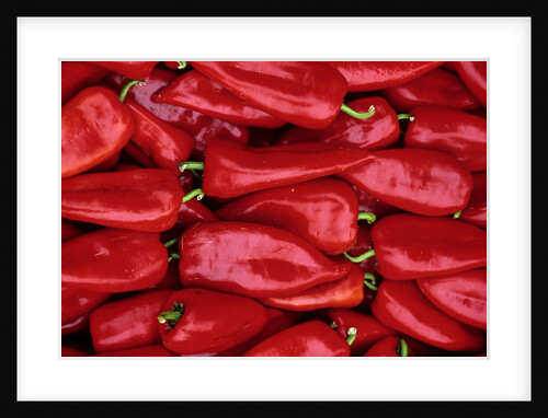 Red Peppers For Sale Near Pogacarjev Trg Square by Anonymous