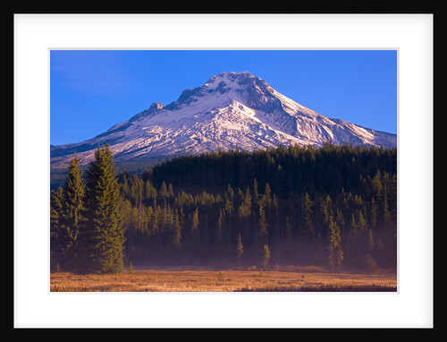 Mount Hood and National Forest by Anonymous