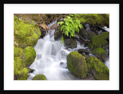 Waterfall and Mossy Rocks by Anonymous