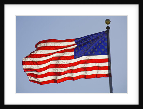 American Flag on Flagpole by Anonymous