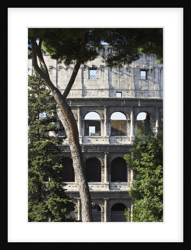 The Colosseum by Anonymous