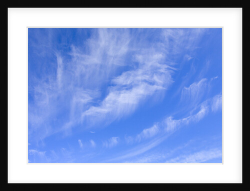 Feathery Cirrus Clouds by Anonymous