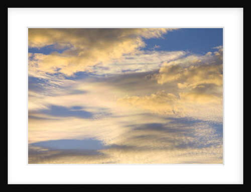 Cumulus Clouds Colored Gold in Blue Sky by Anonymous