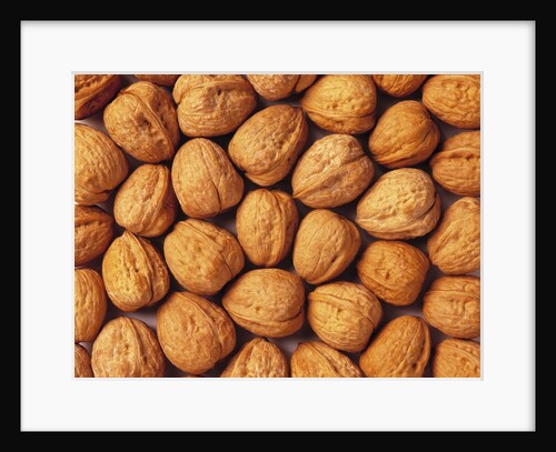 Walnuts by Anonymous