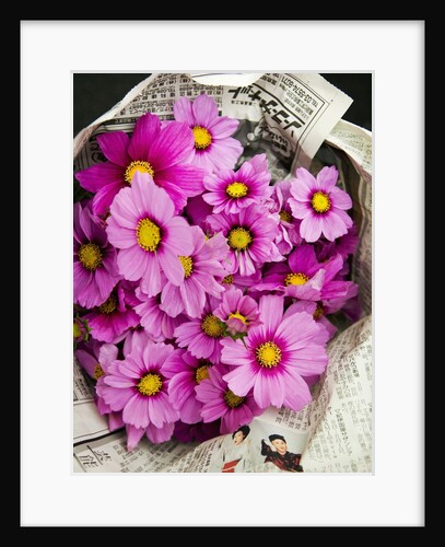 Bouquet of Cosmos Flowers by Anonymous