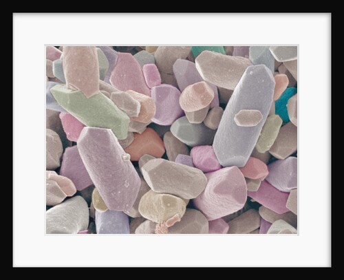 Otoliths from the Inner Ear of a Rabbit by Anonymous