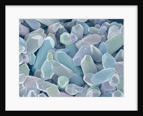 Otoliths from the Inner Ear of a Rabbit by Anonymous