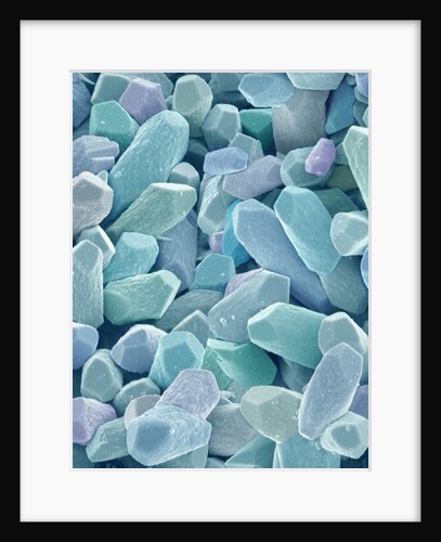 Otoliths from the Inner Ear of a Rabbit by Anonymous