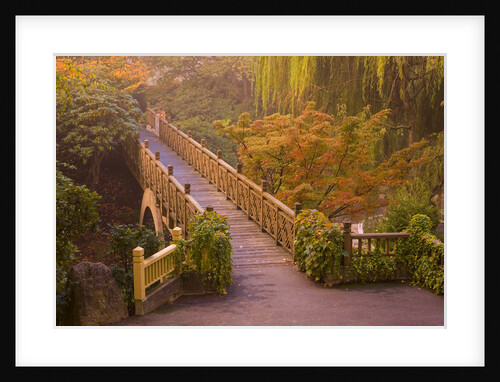 Footbridge Through the Autumn Colors by Anonymous