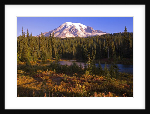 Fall Colors and Alpine Lake near Mount Rainier by Anonymous