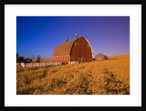 Wheat Field and Barn at Sunrise by Anonymous
