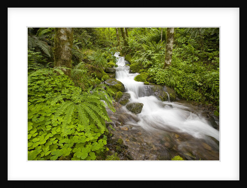 Rushing Water by Anonymous
