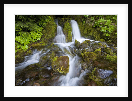 Rushing Water by Anonymous
