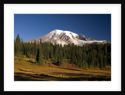 Fall Colors at Sunrise on Mount Rainier by Anonymous
