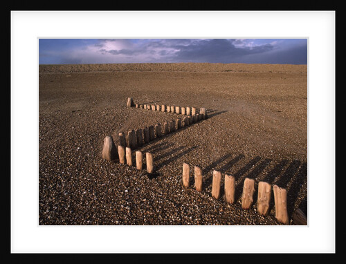 Breakwater Stakes on Shingle Beach by Anonymous