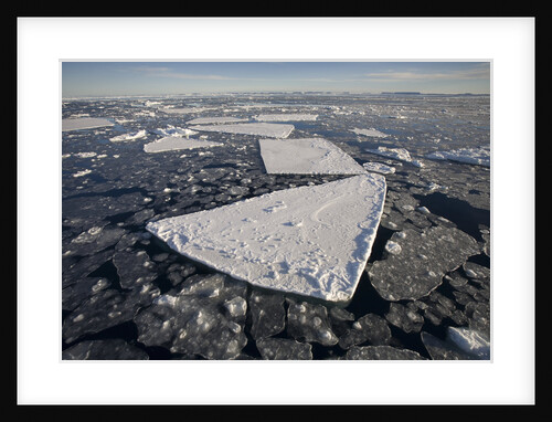 Pans of Ice in Weddell Sea by Anonymous
