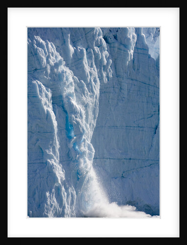 Icebergs Calving From Equip Sermia Glacier by Anonymous