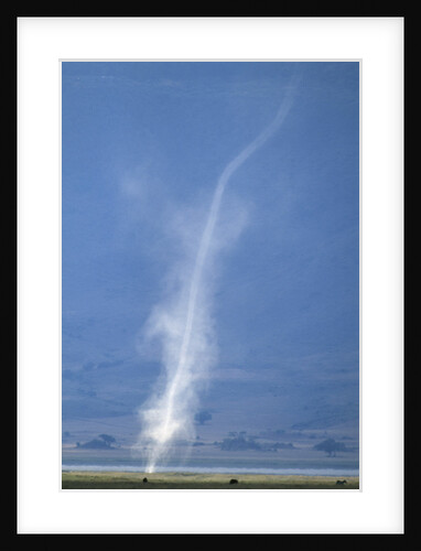 Whirlwind Rising from Savanna by Anonymous