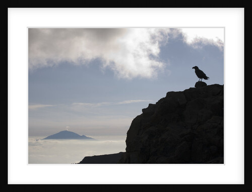 Bird on Ledge and Mount Meru by Anonymous