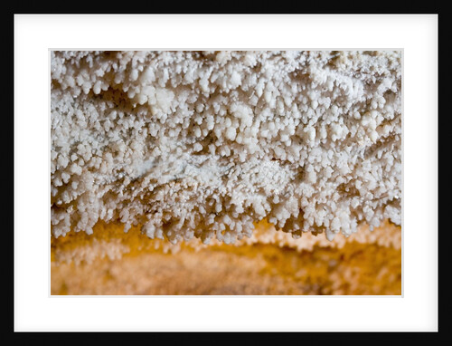 Popcorn Cave Formations by Anonymous