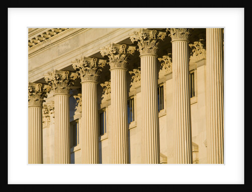 Columns on Capitol Building by Anonymous