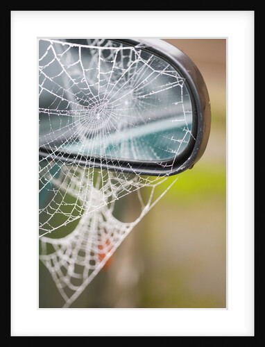 Frost Covered Spiderweb on Automobile Mirror by Anonymous