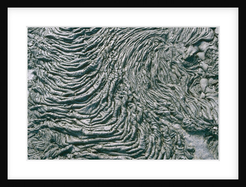 Pahoehoe Lava Flow on San Salvador Island by Anonymous