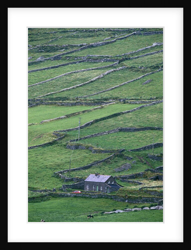 Cottage and Farm at Garraun Point by Anonymous