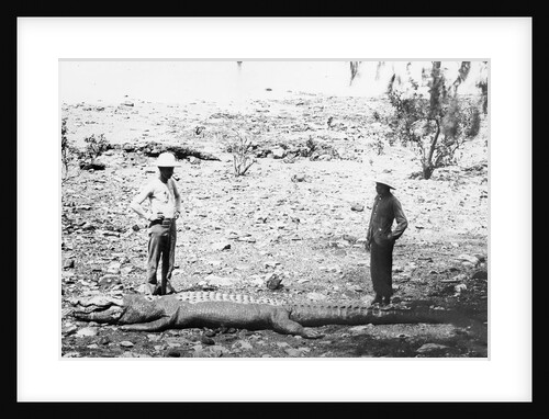 Hunter and Chinese Servant with Large Crocodile by Anonymous