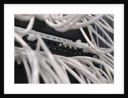 Computer Network Cables by Anonymous