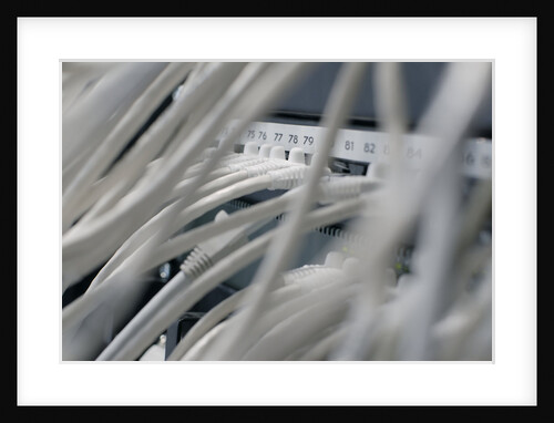 Computer Network Cables by Anonymous