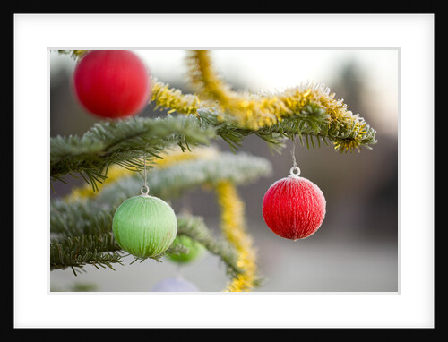 Christmas Ornaments on Tree Covered with Frost by Anonymous